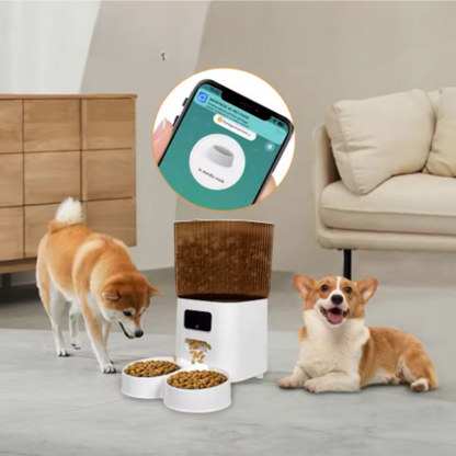 Smart Camera Feeder Dual Bowl