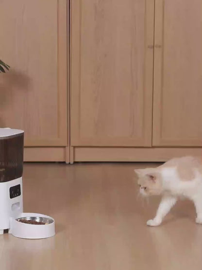 Smart Camera Feeder Dual Bowl